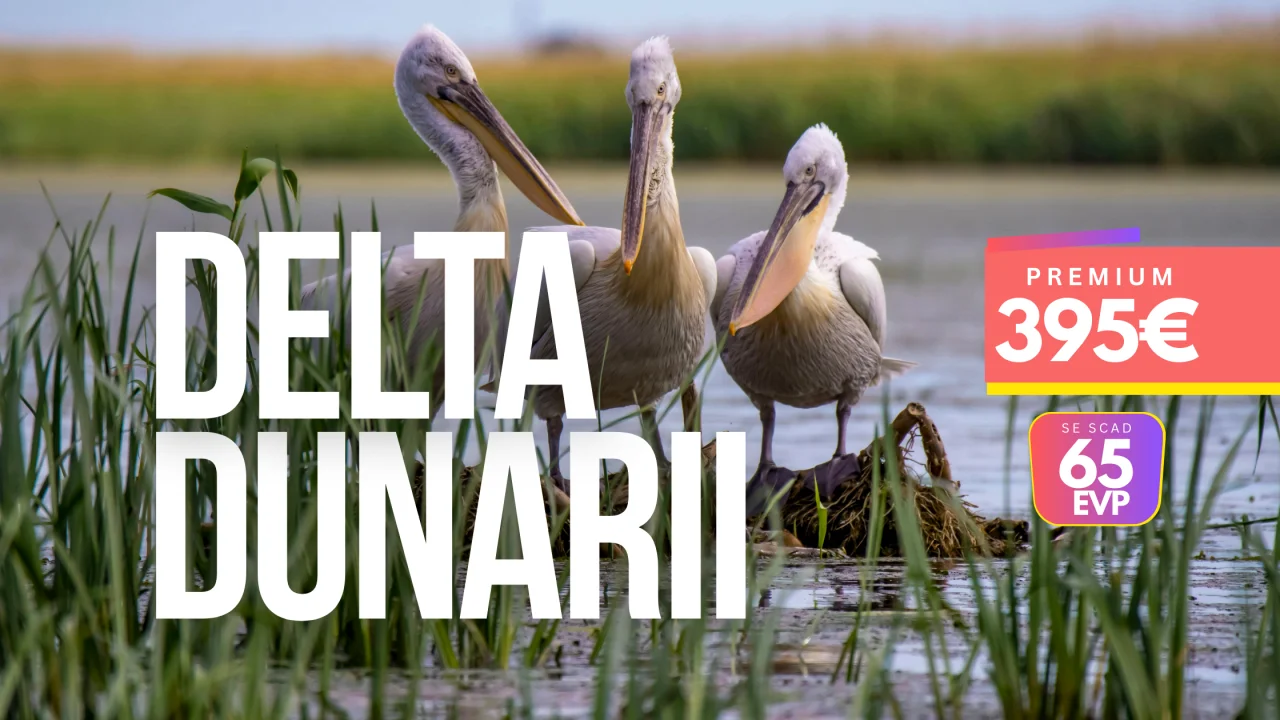 Delta Dunarii trăită autentic