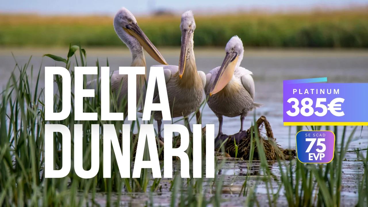 Delta Dunarii trăită autentic