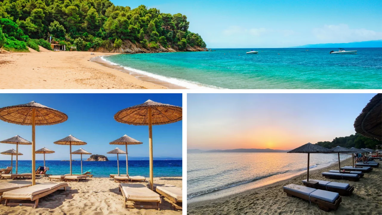 Plajele din sudul insulei cu lebede albe si negre